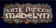 Battle Princess Madelyn Nintendo Switch
