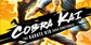 Cobra Kai The Karate Kid Saga Continues Xbox One