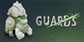 Guards Xbox Series X