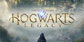 Hogwarts Legacy Epic Account