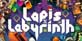 Lapis x Labyrinth Nintendo Switch