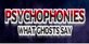 Psychophonies What Ghosts Say Nintendo Switch