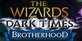The Wizards Dark Times Brotherhood PS5