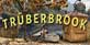 Truberbrook PS4
