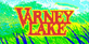 Varney Lake Nintendo Switch