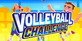 Volleyball Challenge Nintendo Switch