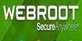 Webroot SecureAnywhere AntiVirus 2021